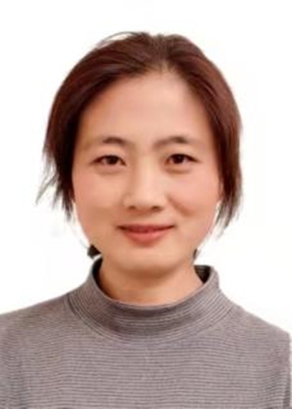 九球体育核心通道图片
