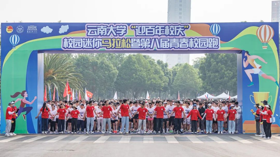 九球体育稳定线路
