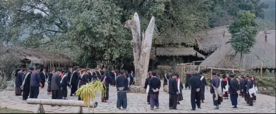 九球体育赛事资讯平台