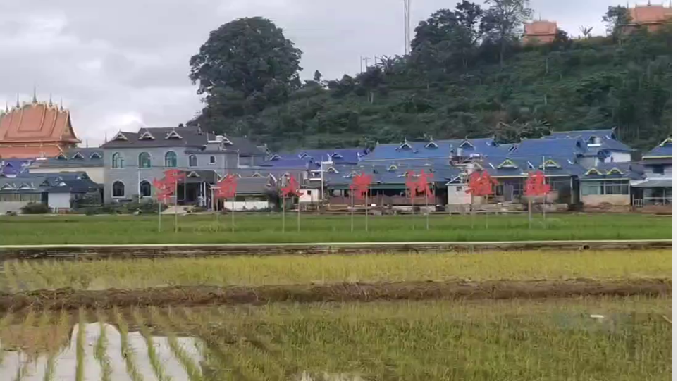 九球体育平台