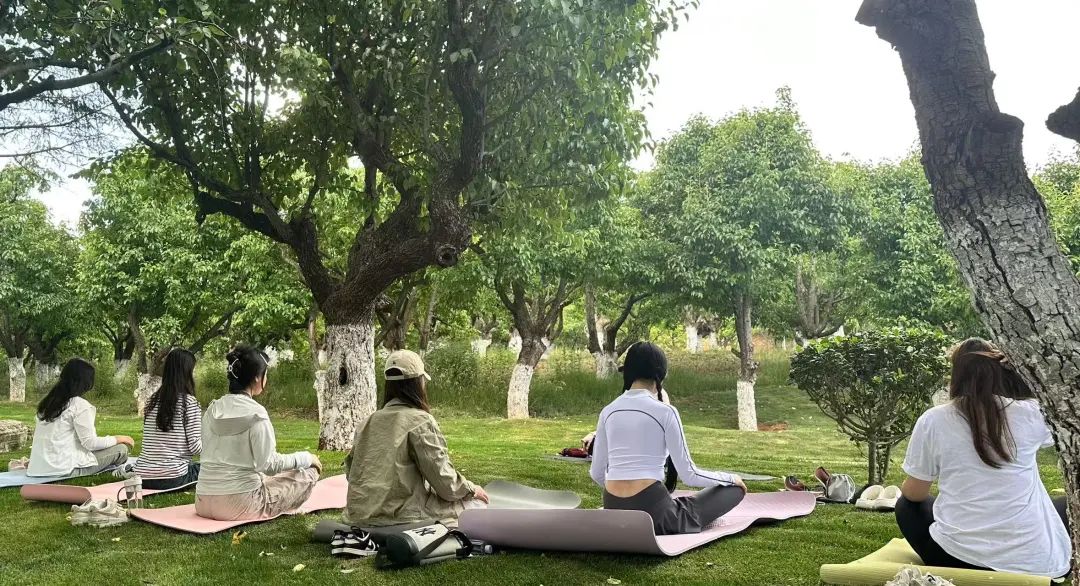 九球体育欧冠直播