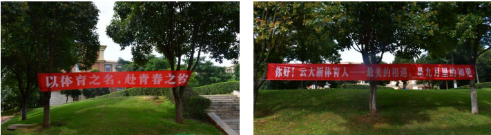 九球体育赛事资讯平台